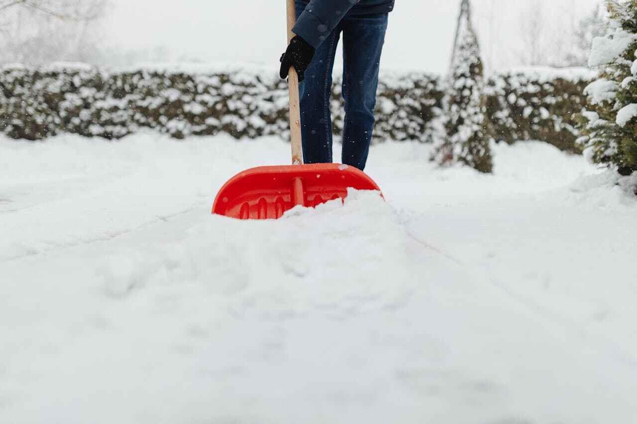 Affordable Snow Removal Services  Residential & Commercial